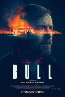 stream Bull (2021)
