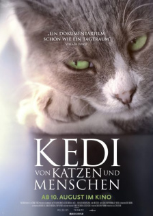 stream Kedi - Von Katzen und Menschen