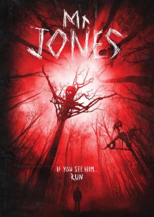 stream Mr. Jones (2013)