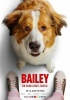 small rounded image Bailey - Ein Hund kehrt zurück