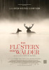 small rounded image Das Flüstern der Wälder