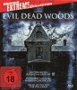 small rounded image Evil Dead Woods