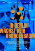 small rounded image In Berlin wächst kein Orangenbaum