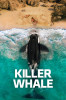small rounded image Killer Whale