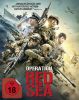 small rounded image Operation Red Sea