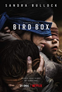 stream Bird Box