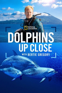 stream Delfine Hautnah mit Bertie Gregory