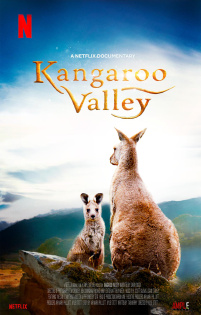 stream Kangaroo Valley