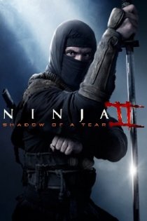 stream Ninja - Pfad der Rache