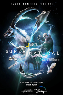 stream Super Natural S01E02