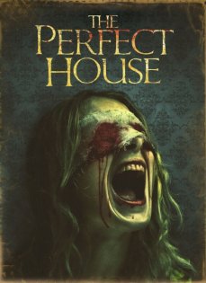stream The Perfect House