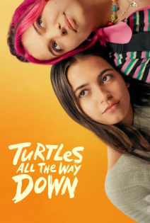 stream Turtles All the Way Down