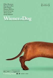 stream Wiener Dog