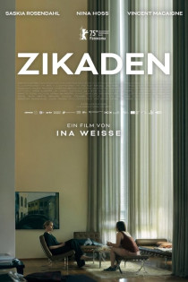stream Zikaden