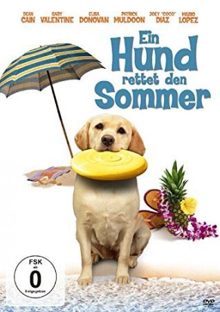 Ein Hund rettet den Sommer