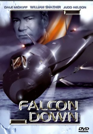 Falcon Down Todesflug ins Eismeer