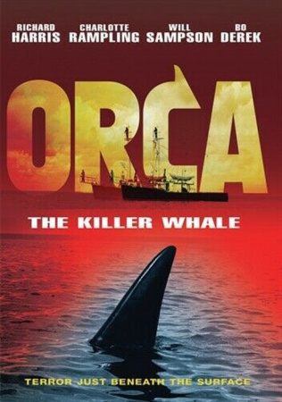 Orca der Killerwal