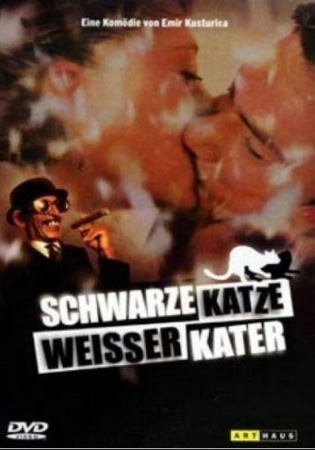 Schwarze Katze, Weisser Kater