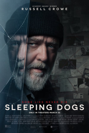 Sleeping Dogs - Manche Lügen sterben nie